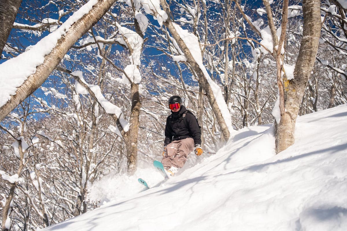 Niseko vs Hakuba: Japan's Top Ski Areas Compared 2026